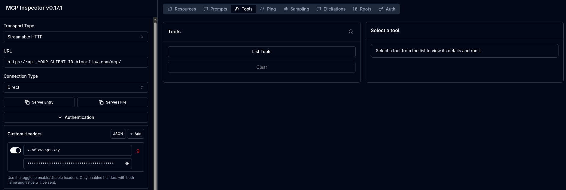 Connect to Bloomflow MCP from the inspector